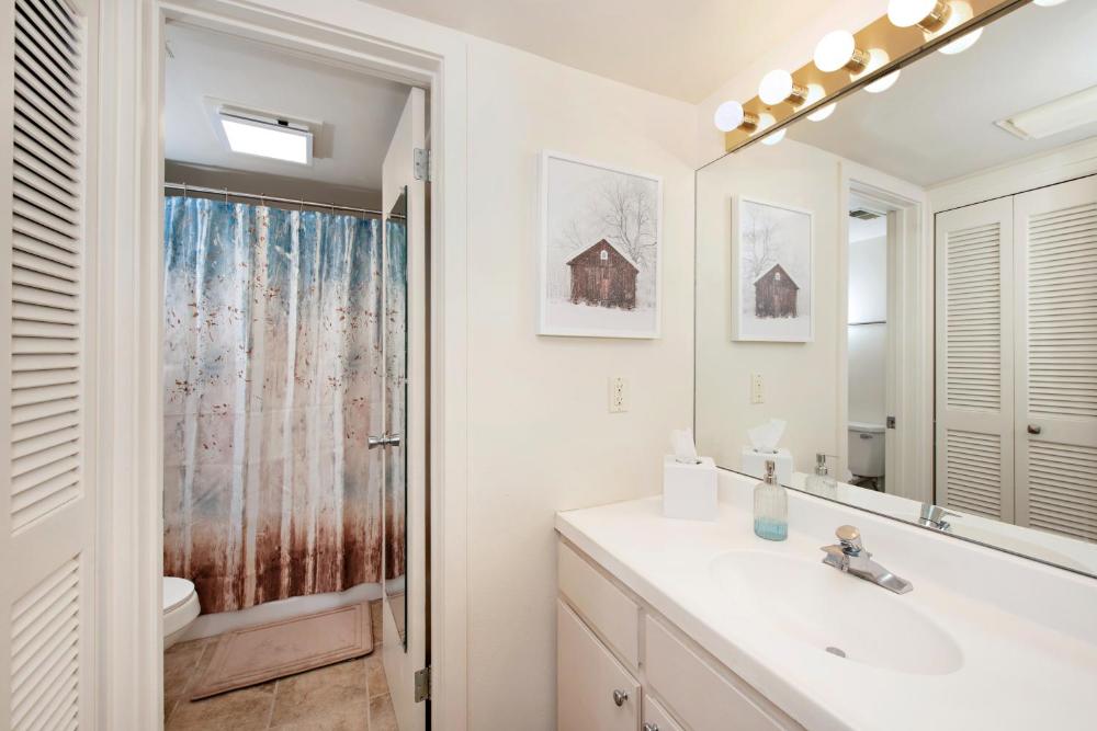 Studio Apartment interior